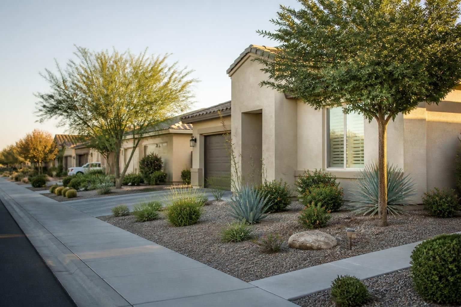 Neighborhood homes with finished desert front yards.